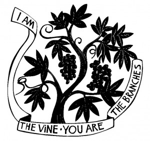 I am the vine, you are the branches.